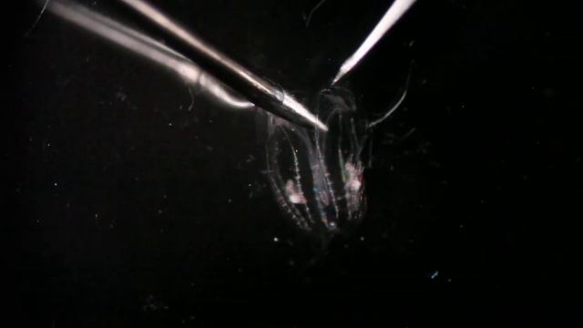 Cutting process смотреть онлайн