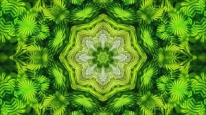 Kaleidoscope Art