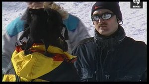Непутевые заметки 04.02.2001