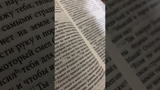 Саранча и тьма. смотреть онлайн