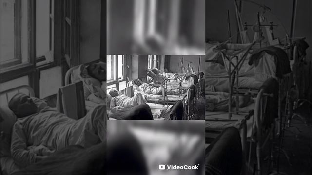 улица Олега Кошевого в Новосибирске названа в честь героя ВОВ