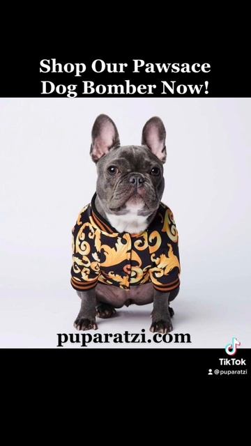 Our Designer Dog Clothes Are On Top Of This World | Designer Pawsace Dog Bomber | Puparatzi