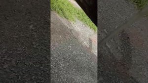 Газель бизнес: дренажные отверстия в дверях. Почему гниют двери на газелях?