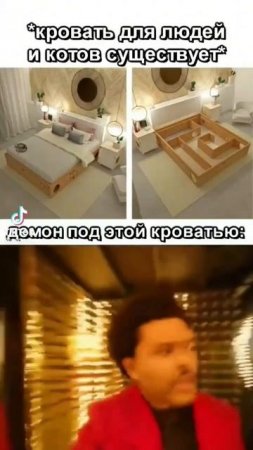 Мемчик из Тик-Тока #кот #мемы #юмор #смех #ржач #шутка #прикол #тикток
