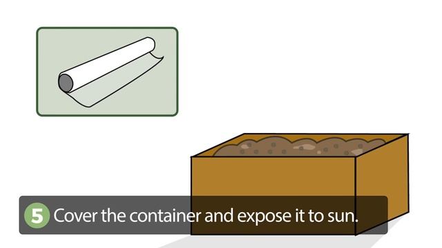 How to Plant a Cactus from a Seed смотреть онлайн