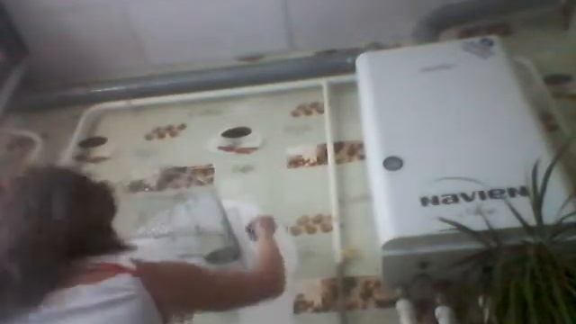 Уборка клетки попугая на Voлнистик-TV (ч 1) смотреть онлайн