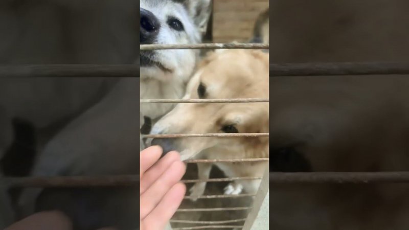 Доброе утречко