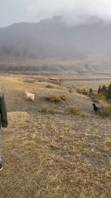 И пусть весь мир подождёт😊 смотреть онлайн