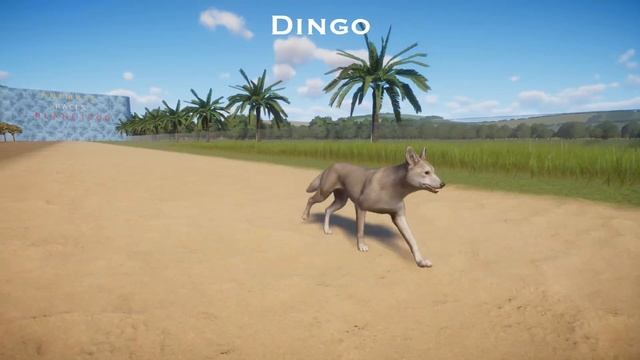 Group Of Domesticated Animals in Planet Zoo included Wolf, Dingo, Dhole