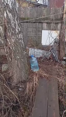 Березовый сок