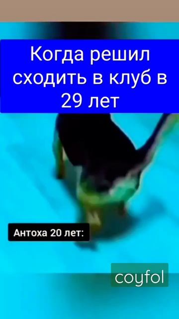 Когда решил сходить в клуб в 29 лет #shorts #мемы #мем смотреть онлайн