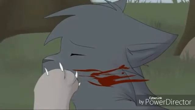 СИНЯЯ ЗВЕЗДА И БЕЛОГРИВКА УМАМЫ MV