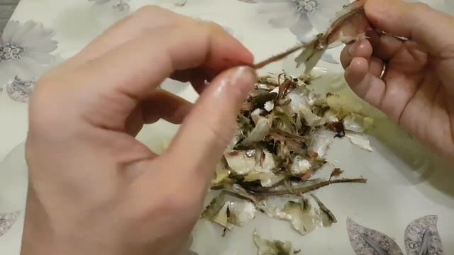 Уклейка сушеная. Без звука смотреть онлайн