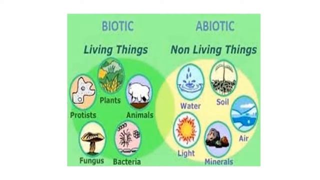 Chapter 1|| RESOURCES || Class 8 || ppt|| Geography || NCERT-CBSE
