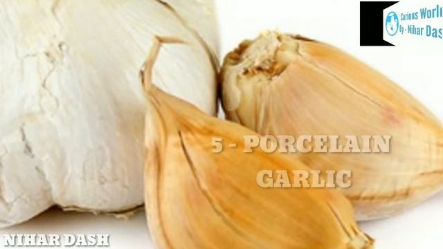 12 Types Of Garlic / Garlic Types / Garlic Variety / Garlic Cultivation / Indian Garlic / Garlic смотреть онлайн