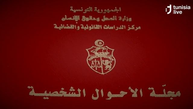 Women's Rights: the Tunisian Experience, thus far смотреть онлайн