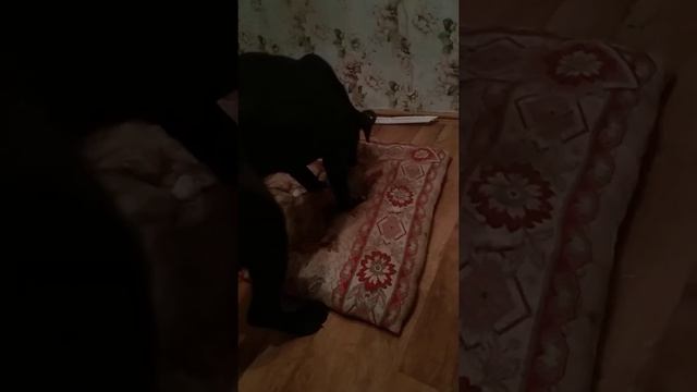 Рыба 🐟🐟🐟 Ещё плавает смотреть онлайн