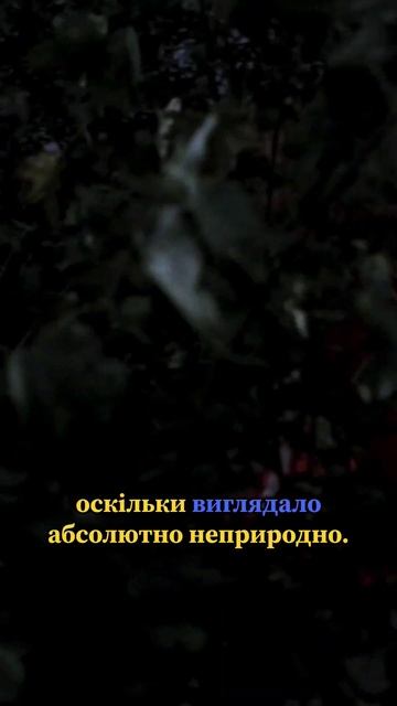 😲А чи знали ви...?😲 "Дракула" #цікавіфакти #фільми #кіно смотреть онлайн