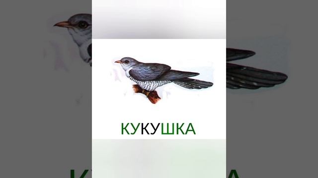 29 марта 2021 г. смотреть онлайн