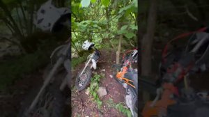 Медведь в лесу напал на эндуристов