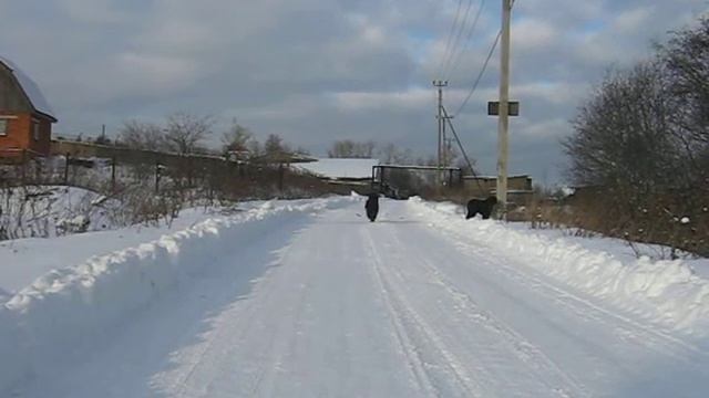 Фронда. подзыв смотреть онлайн