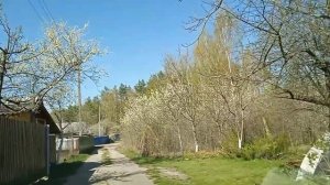 Санаторий Приднепровский.Шашлычок под коньячок.