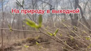 Просто красота русской природы и ничего лишнего