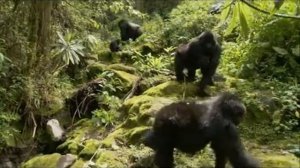 О, Боже какой мужчина