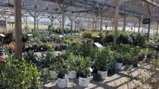 Let's Shop! - Homestead Gardens - Late March 2024