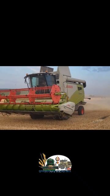 Комбайн Claas Tucano 320 приступил к уборке пшеницы смотреть онлайн