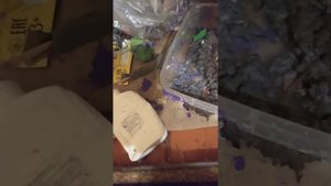 🟪как сделать маску аниматроника спринг бони🟪