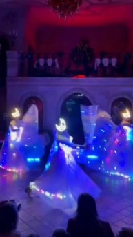 Алегрия Шоу Световое светодиодное неоновое на свадьбу юбилей корпоратив выпускной Воронеж Липецк