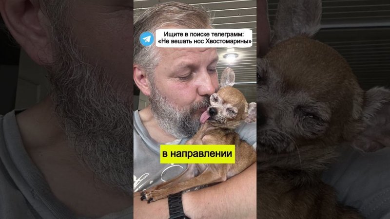 Ссылка на канал в закреплённом комментарии #Мотивация #мотивациядня