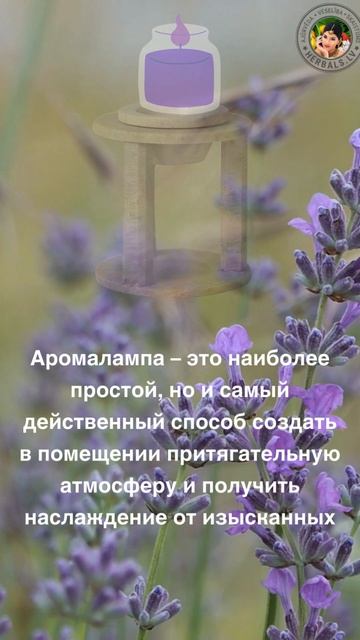 Какие масла подходят для использования в аромалампе?