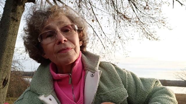 Поëт Ира Шраго. "Гуси-лебеди летят". смотреть онлайн