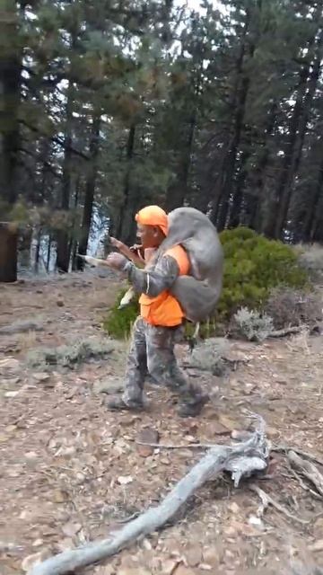 Venado de 2x2 en la D8