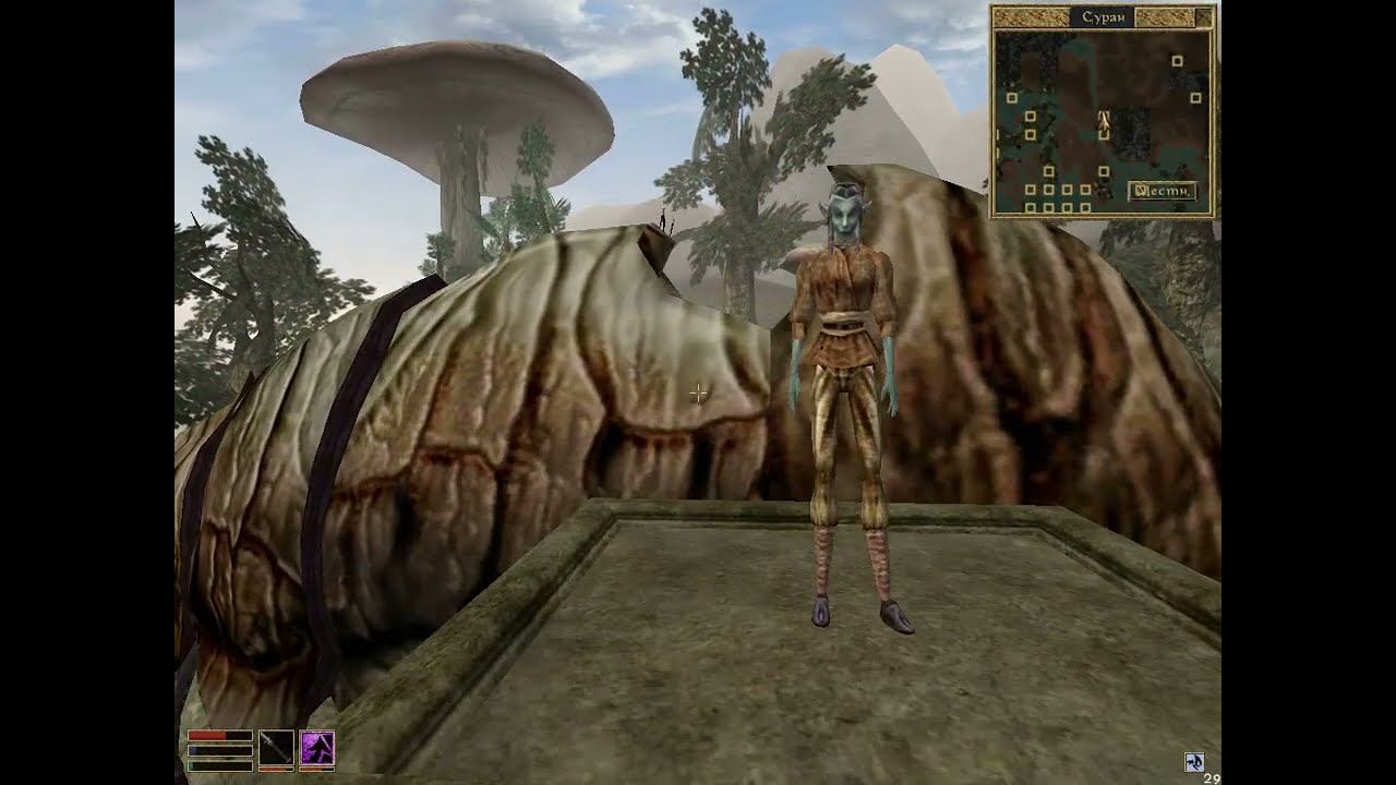 Morrowind 12