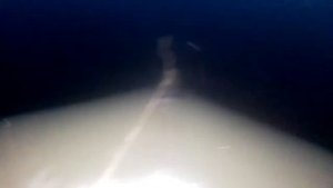 рыбалка на сто метровую удочку, рыбалка на сети,  в погоне за желтыми карасями