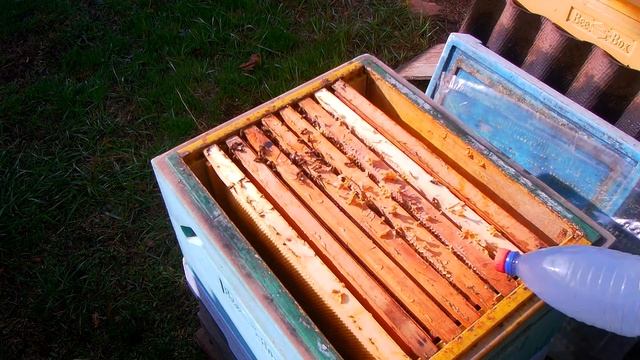 Окончательная обработка от клеща "бипином"......2020г. ))) любительское пчеловодство смотреть онлайн