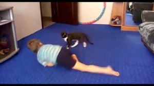 Кот воспитывает ребенка оч смешно Часть 2. Cat raising a child is very funny part 2)