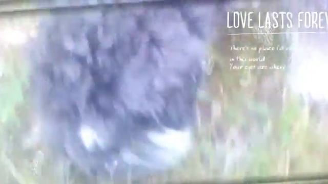 Arina Wi|ИДЁМ ГУЛЯТЬ С МОИМ ПСОМ БАДИ|GO FOR A WALK WITH MY DOG BADY смотреть онлайн