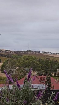 See your Oppo and raise you a Samsung