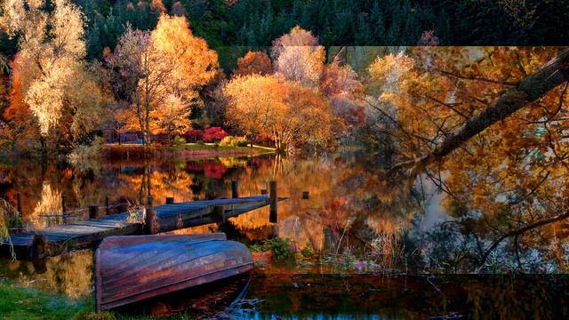 ОСЕНЬ смотреть онлайн
