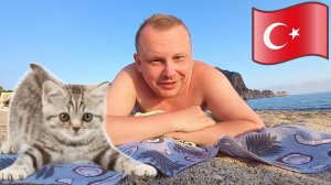 #15.В Турции я превратился в Куклачёва — коты повсюду! «Тюлений отдых» на пляже Клеопатры в Аланье.
