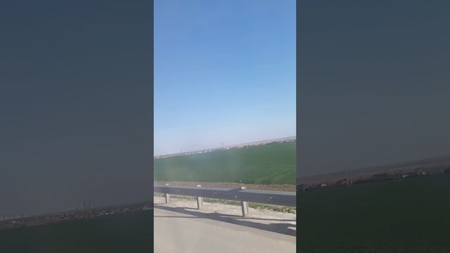 1000080733.mp4