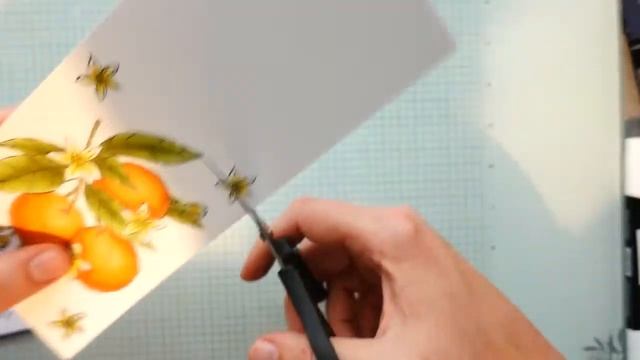 Mediterranean Blooms by Stampin Up!