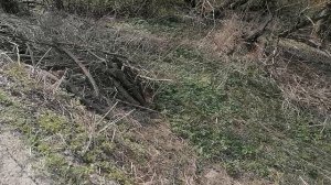 21.04.2025.Затоплене в д. Ляхово. Люк решетка.