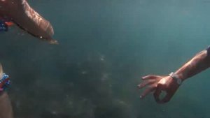 Учимся говорить под водой