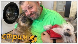 Хвостатое счастье в прямом эфире! 14 декабря 2024 г