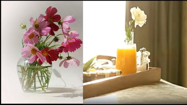 Українська пісня "Сквер" - Люцина Хворост смотреть онлайн